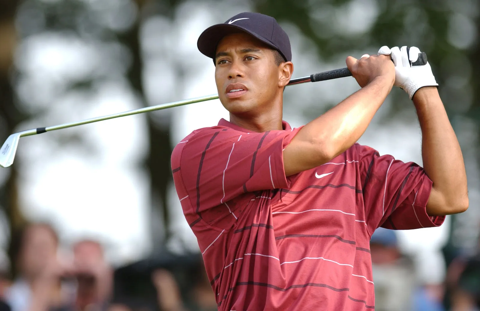 PGA Tour Honors Tiger Woods with Lifetime Achievement Exemption